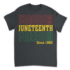 Juneteenth Freedom Since 1865 T-shirt Apparel Gearment 
