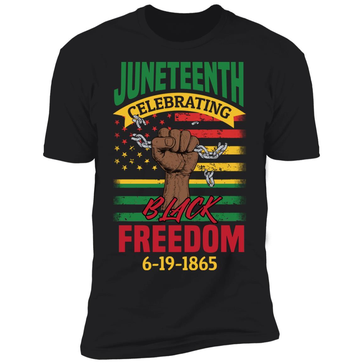 Black Freedom Since 1865 T-Shirt & Hoodie Apparel CustomCat Premium T-shirt Black X-Small