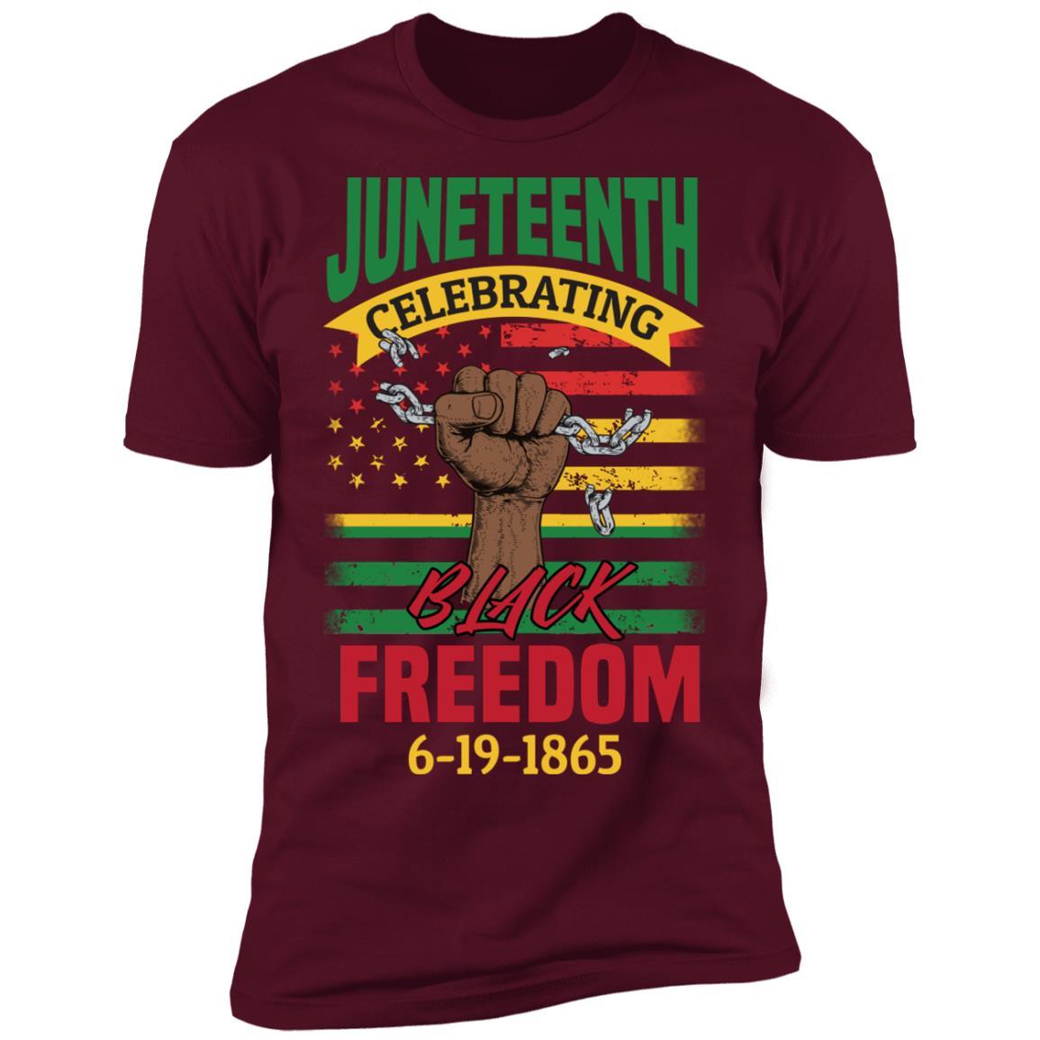 Black Freedom Since 1865 T-Shirt & Hoodie Apparel CustomCat Premium T-shirt Maroon X-Small