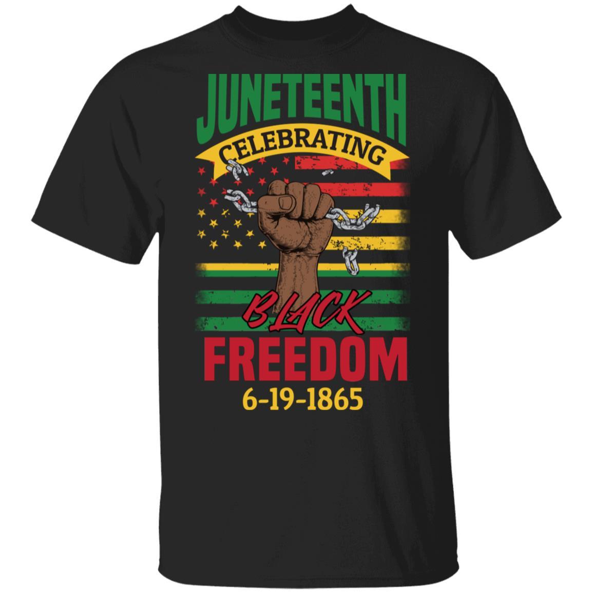 Black Freedom Since 1865 T-Shirt & Hoodie Apparel CustomCat Unisex Tee Black S